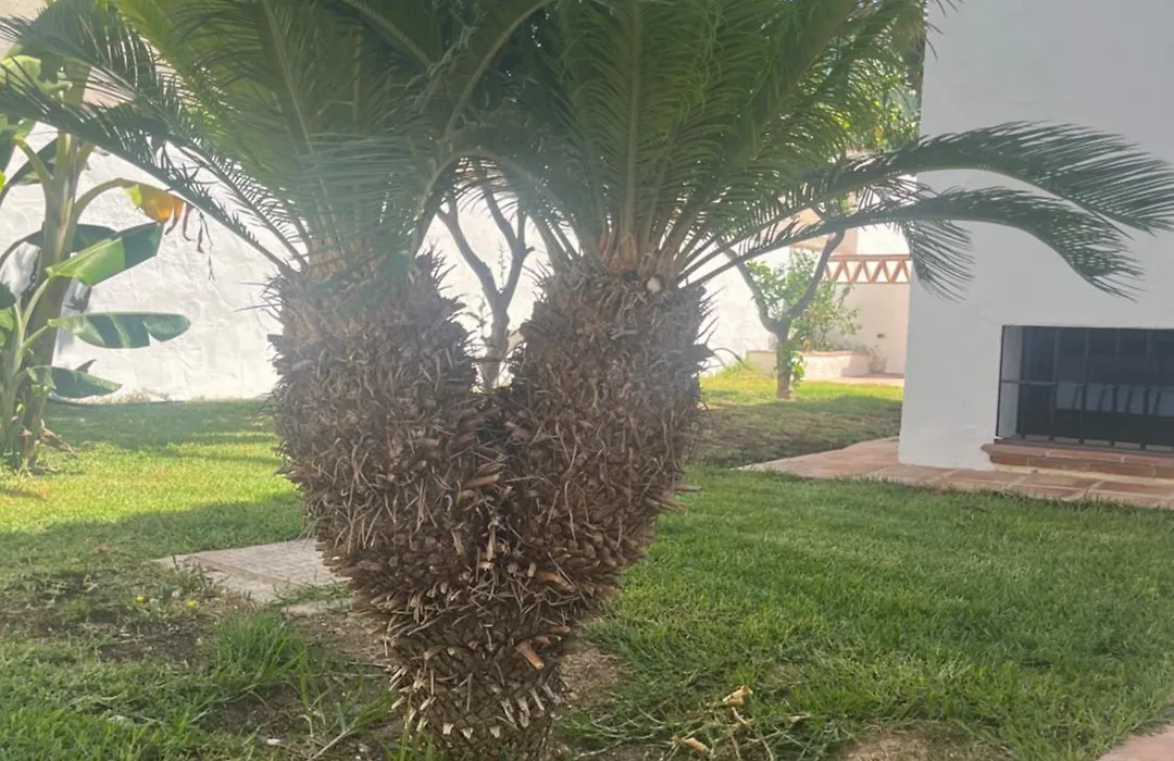 Villa Espiga, Cosy Villa With Private Pool And Bbq, Close To The Beach-1